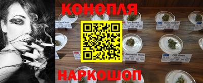 твердый Будённовск