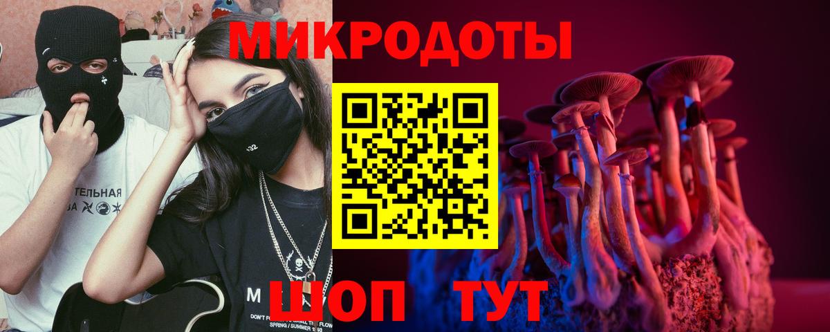 Галлюциногенные грибы Psilocybine cubensis  Вход с VPN  Озёры 